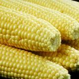Corn on the Cob