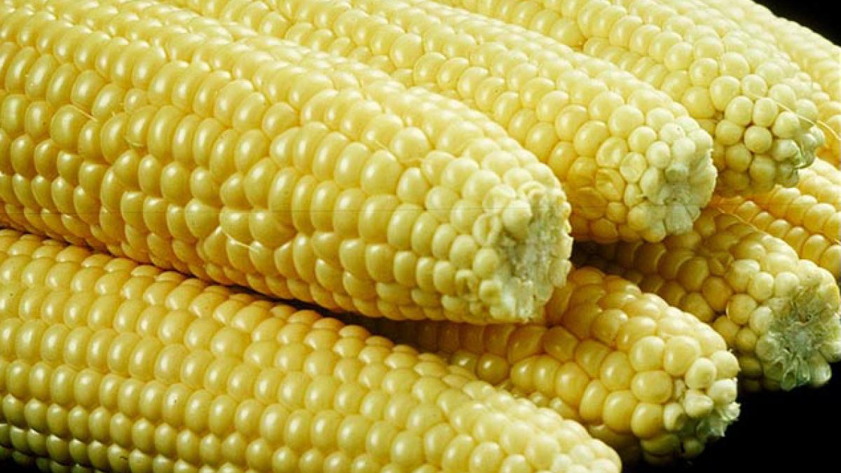 Corn on the Cob